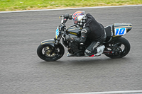 Middle Group Black Bikes